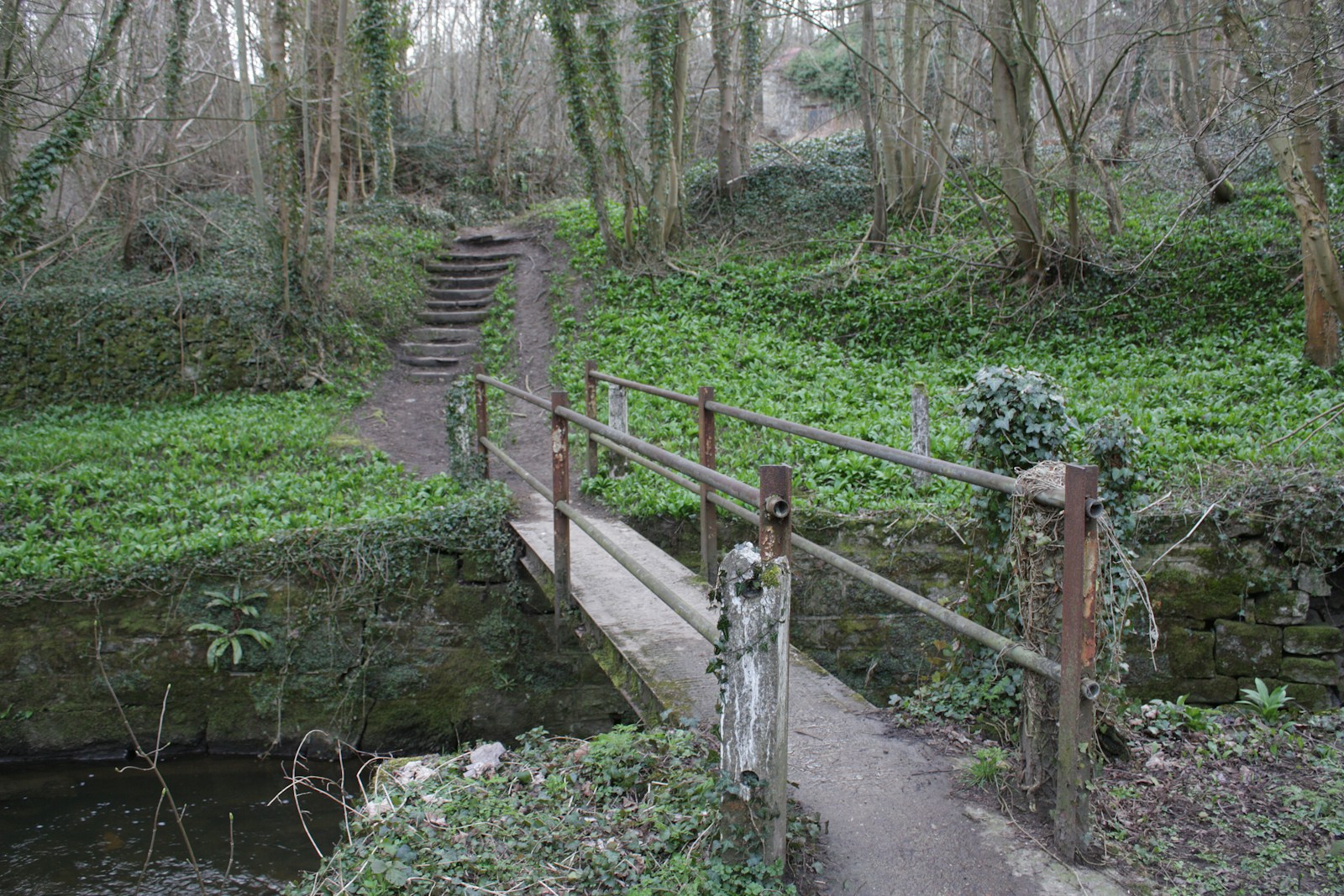 Wooden bridge in nature representing transitions between levels of addiction treatment care